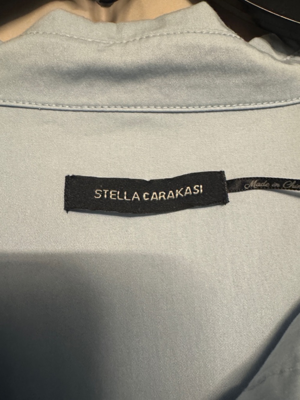 Stella Carakasi Oversized Button-Up Tunic, Size XL, Color Light Blue - Picture 2 of 11